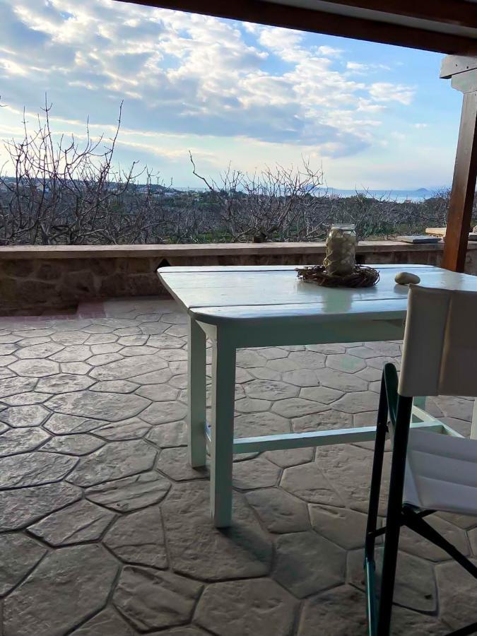Pistachio Guesthouse, Παραδοσιακός Ξενώνας Vathí المظهر الخارجي الصورة