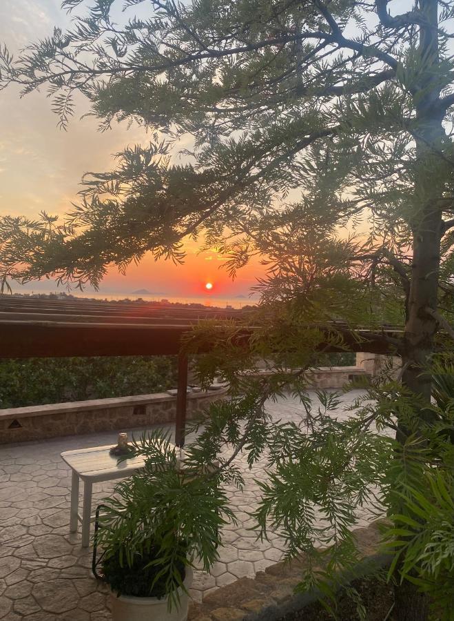 Pistachio Guesthouse, Παραδοσιακός Ξενώνας Vathí المظهر الخارجي الصورة